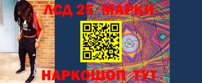 прущие крисы Сланцы