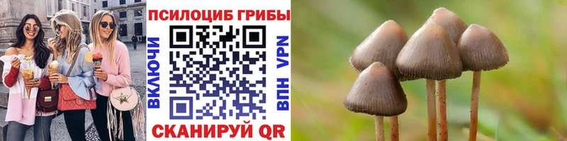 Галлюциногенные грибы мухоморы Пятигорск