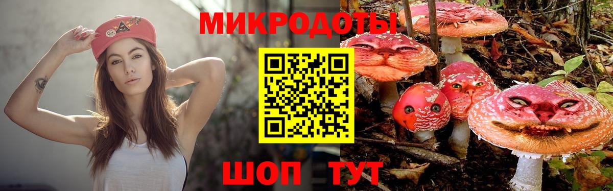 Пятигорск  Псилоцибиновые грибы прущие грибы  Вход с VPN 